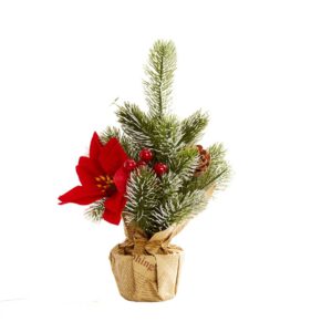 CÂY THÔNG NOEL CAROLS
